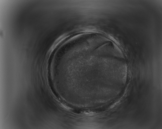 X0000052600199200507160020