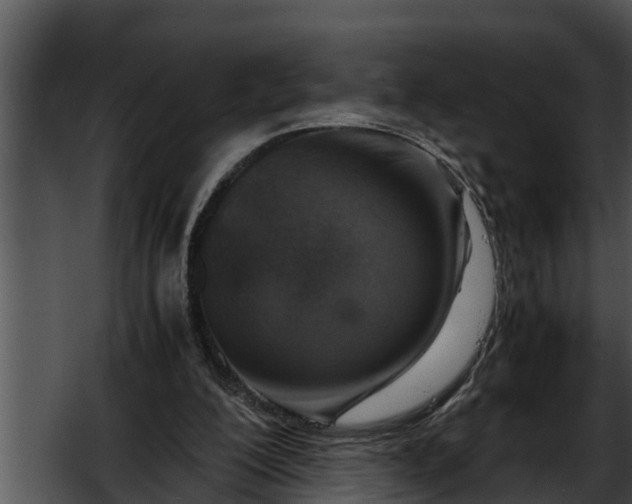 X0000052600200200507160020