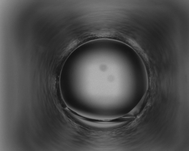 X0000052600201200507160020