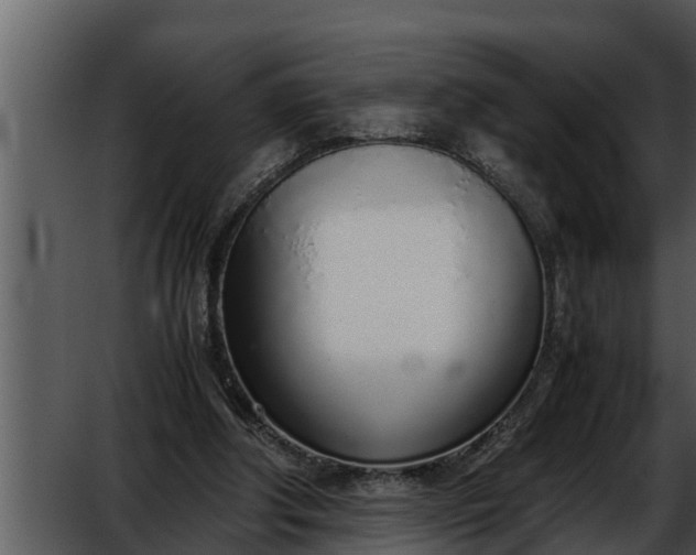 X0000052600202200507160020