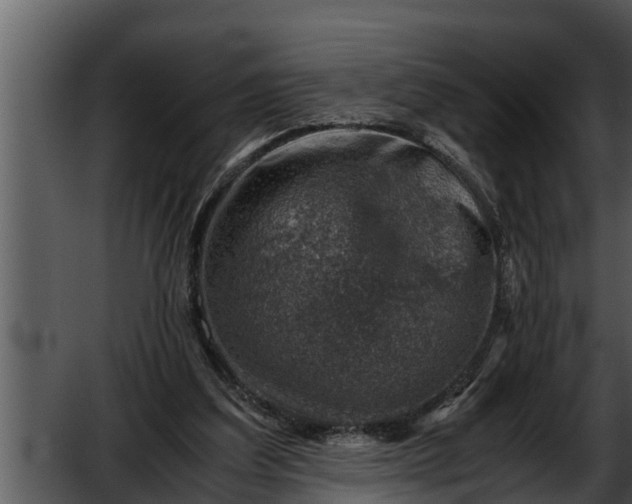 X0000052600203200507160020