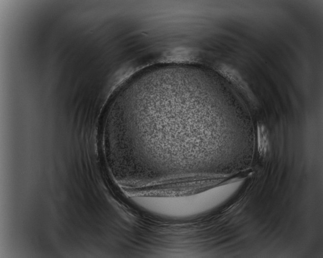 X0000052600204200507160020