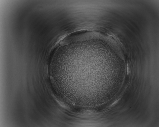 X0000052600205200507160020