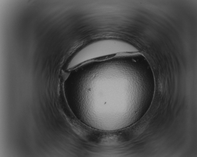 X0000052600206200507160020