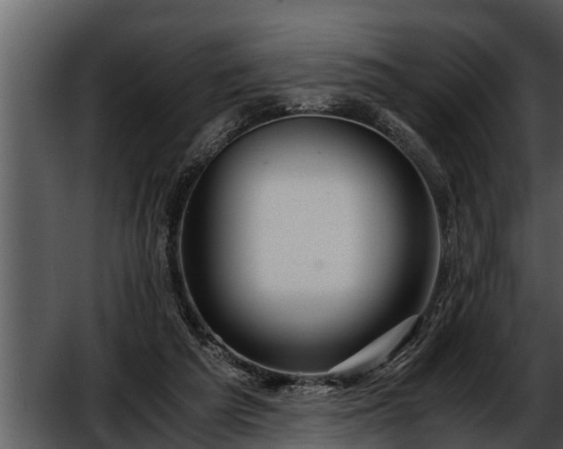 X0000052600209200507160020