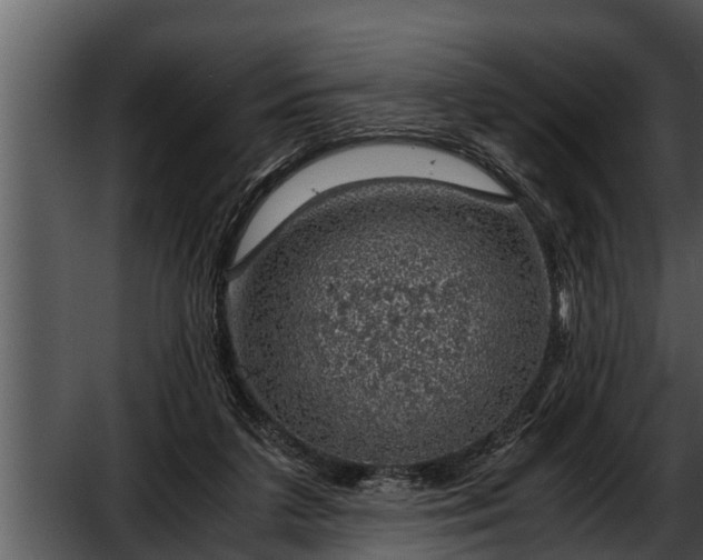 X0000052600211200507160020