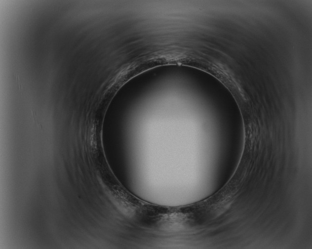 X0000052600212200507160020