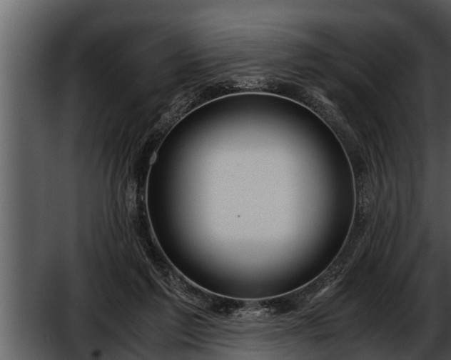 X0000052600213200507160019