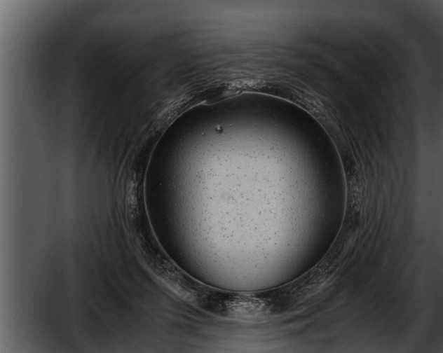 X0000052600215200507160019