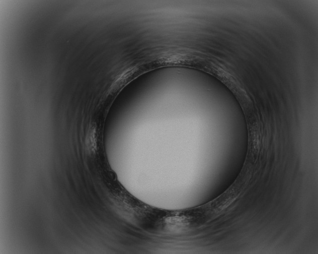 X0000052600216200507160019