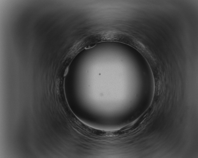 X0000052600217200507160019