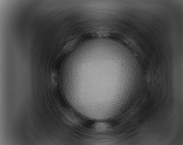 X0000052600218200507160019