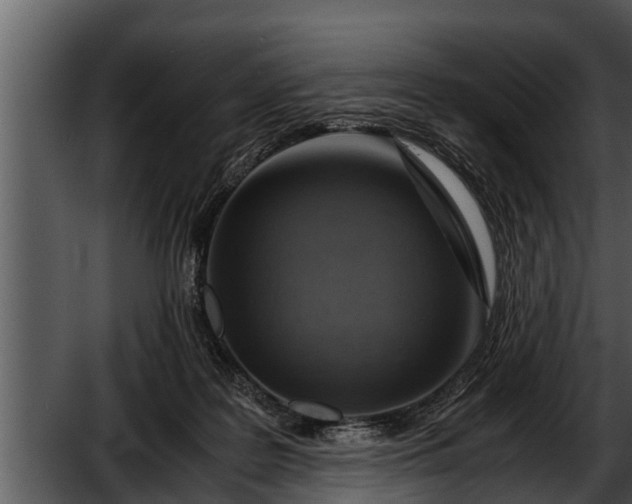 X0000052600219200507160019