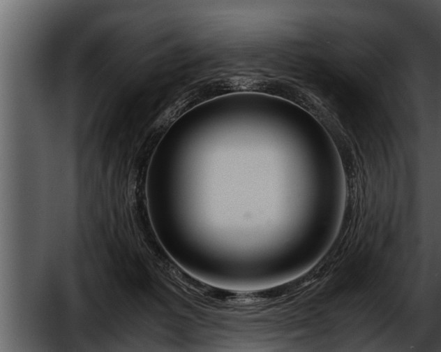 X0000052600221200507160019