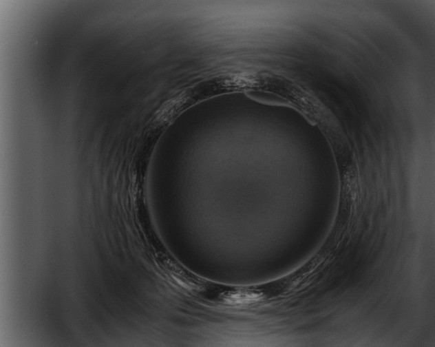 X0000052600223200507160019