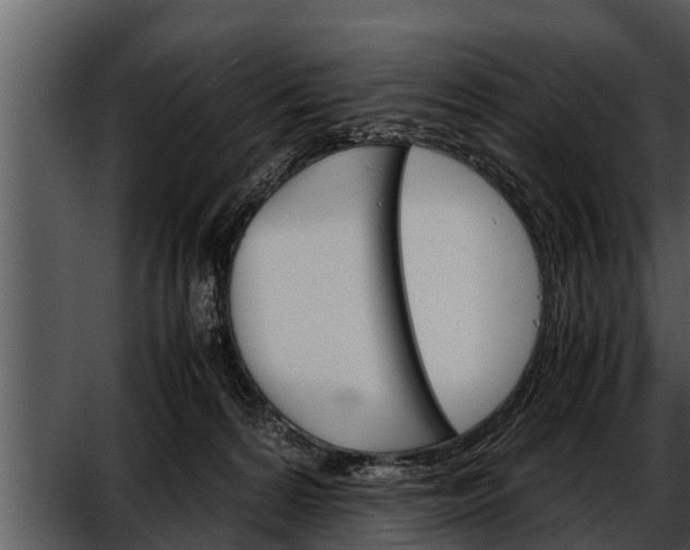 X0000052600224200507160019