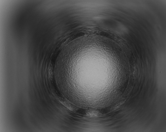 X0000052600226200507160019