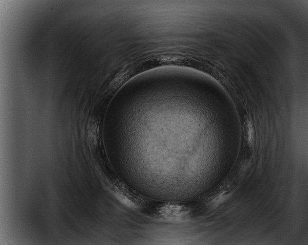 X0000052600227200507160019