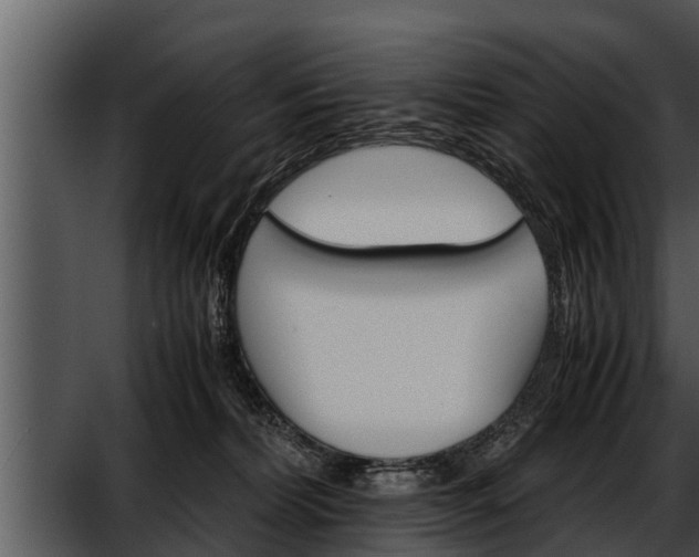 X0000052600228200507160019