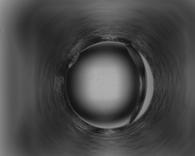 X0000052600229200507160019