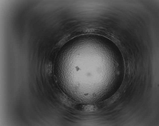 X0000052600230200507160019