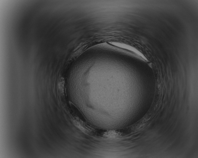 X0000052600231200507160019