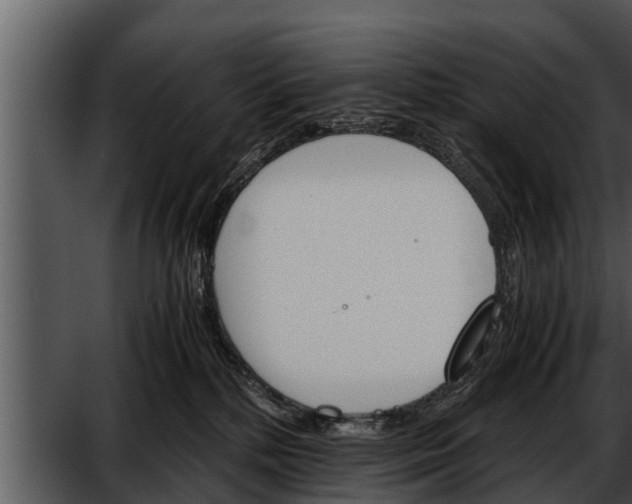 X0000052600232200507160019