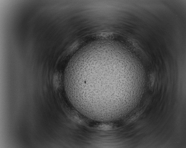 X0000052600236200507160019