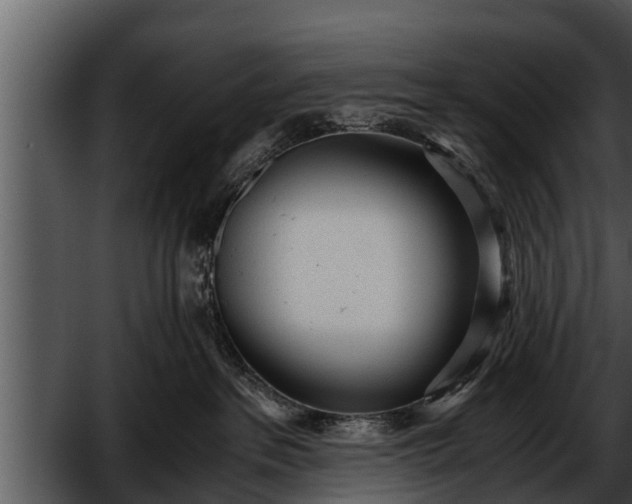 X0000052600237200507160019