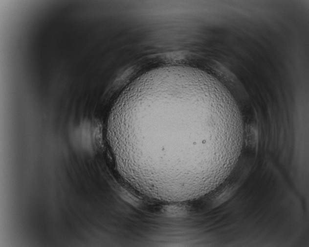 X0000052600238200507160019