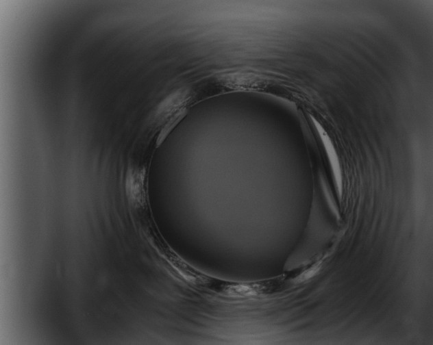 X0000052600239200507160019