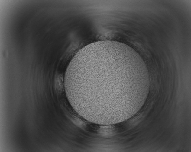 X0000052600240200507160019