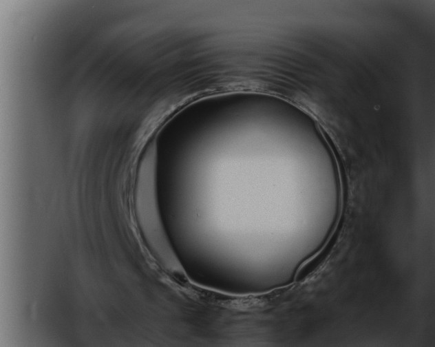 X0000052600241200507160018