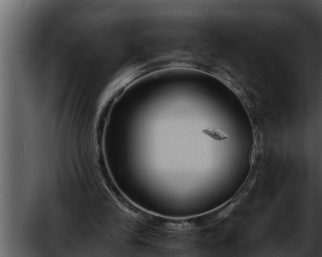 X0000052600245200507160018