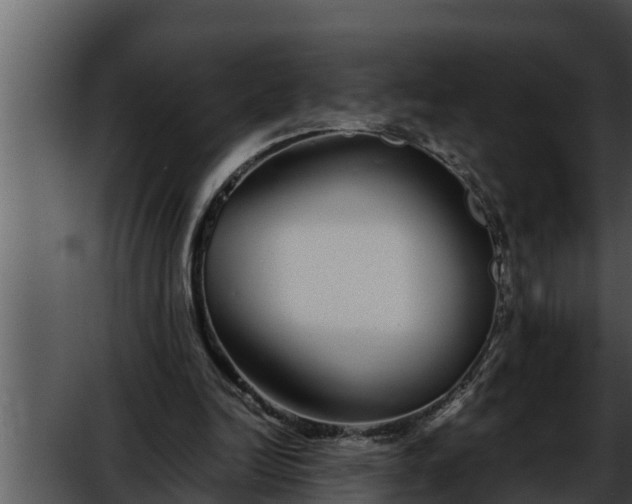 X0000052600246200507160018