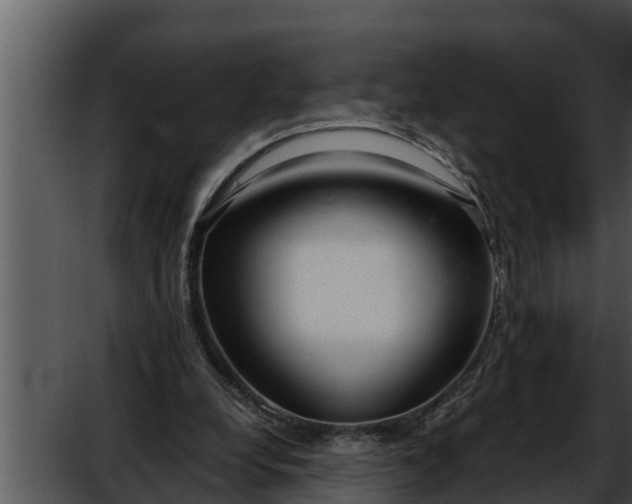 X0000052600248200507160018