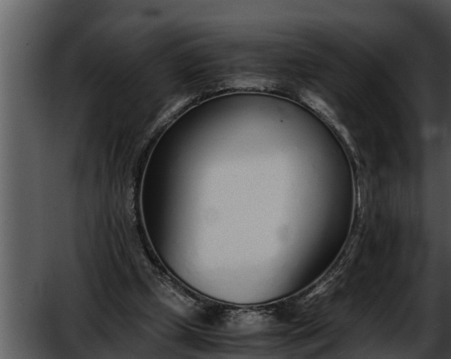 X0000052600249200507160018