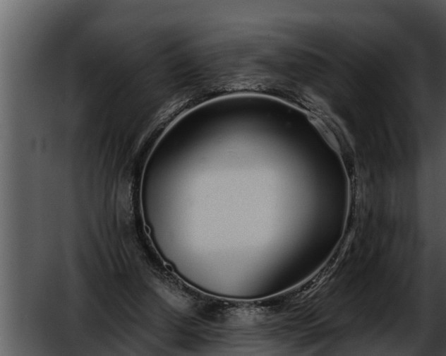 X0000052600250200507160018