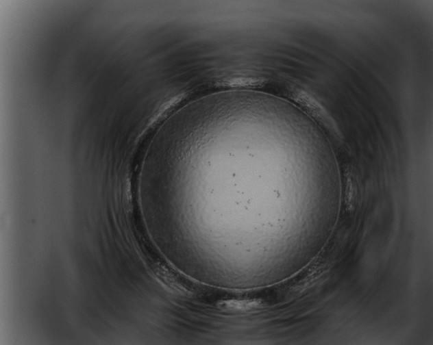 X0000052600251200507160018