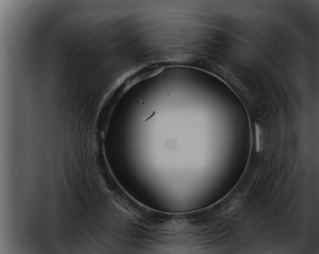 X0000052600252200507160018