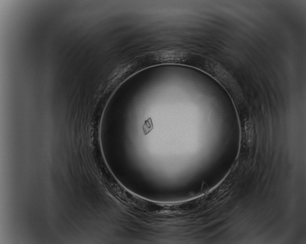 X0000052600255200507160018