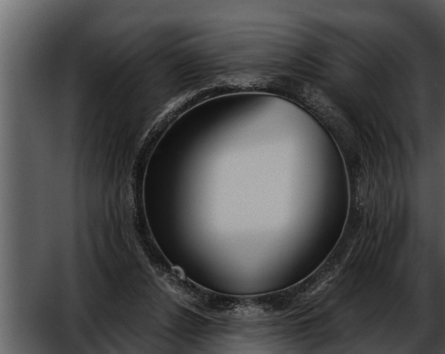 X0000052600256200507160018