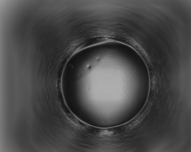 X0000052600257200507160018