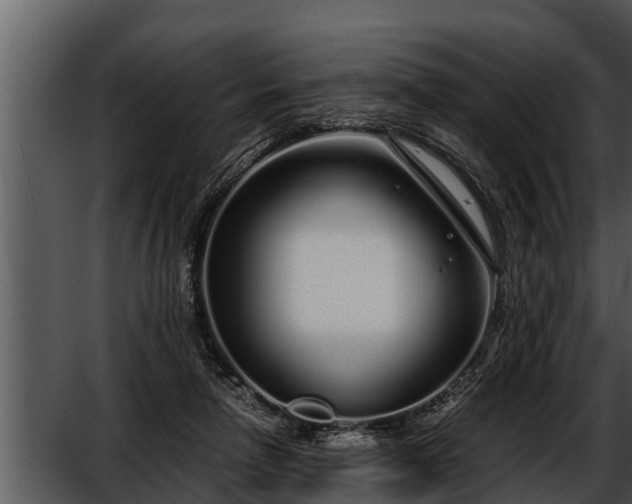 X0000052600258200507160018