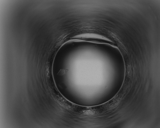 X0000052600259200507160019