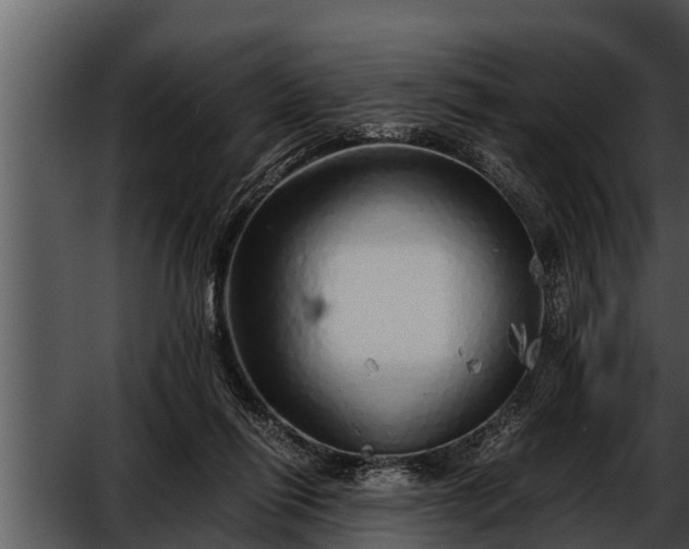 X0000052600262200507160019