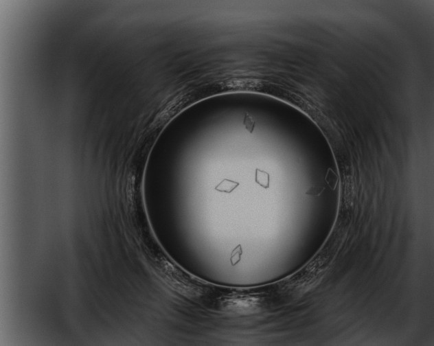 X0000052600263200507160019