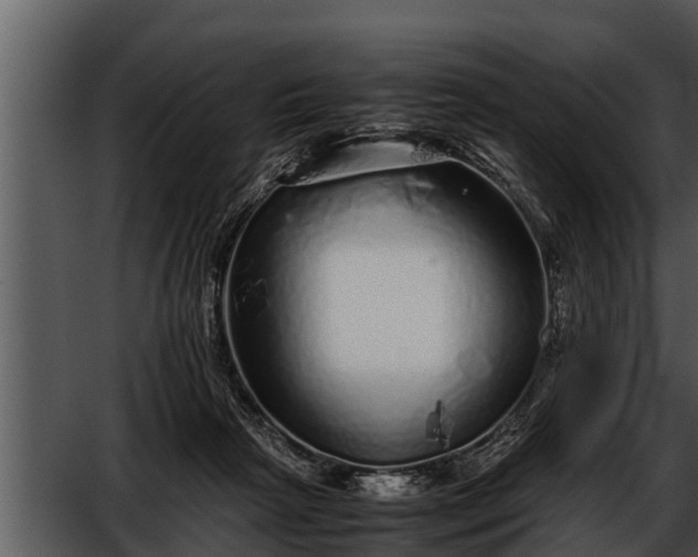 X0000052600265200507160019