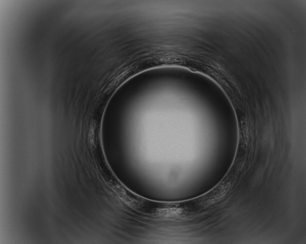 X0000052600266200507160019