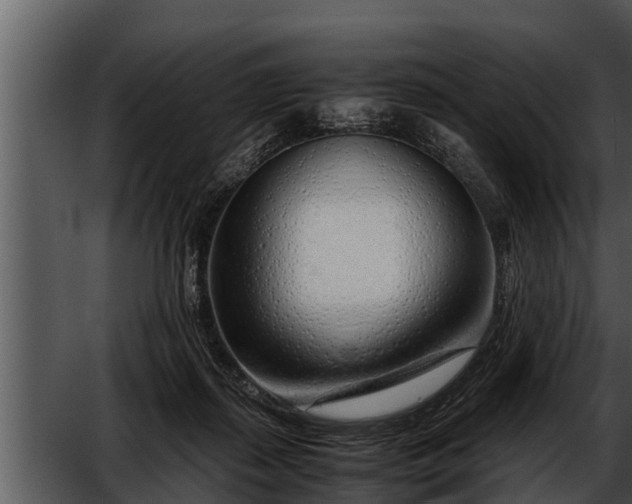 X0000052600267200507160019